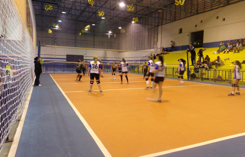 Voley